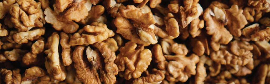 Nuts factory shop