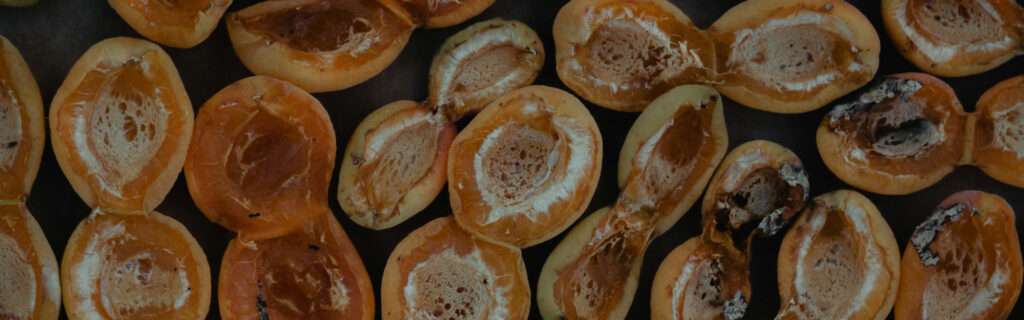 Which Dried Fruit Has the Least Amount of Sugar