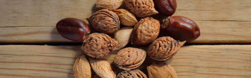 Nuts bulk wholesale