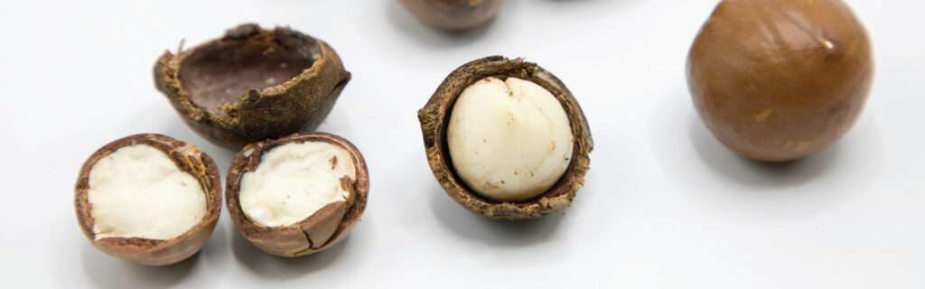 How to Open Macadamia Nuts