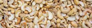 Cashew benefits