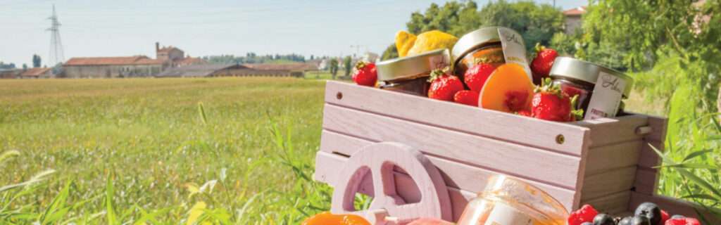 Fruit basket gifts