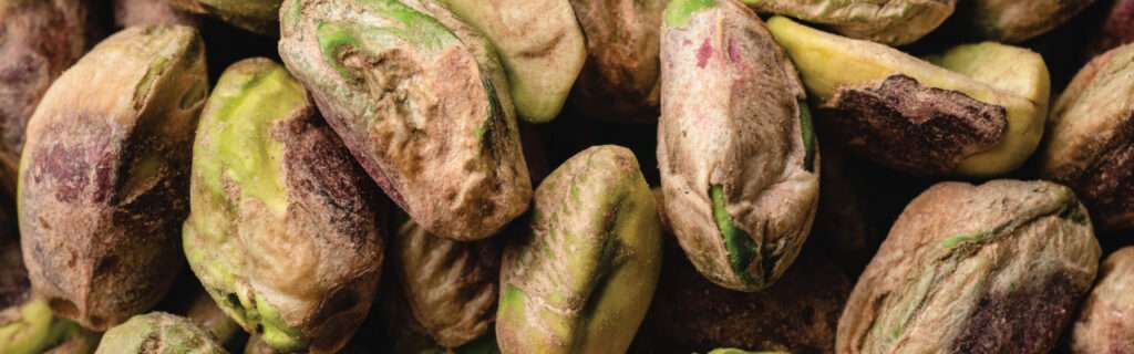 Bulk buying dried fruit and nuts