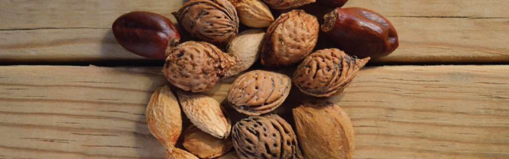 Sales Opportunities - Nuts Buyers