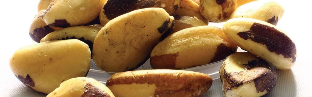 brazil nuts
