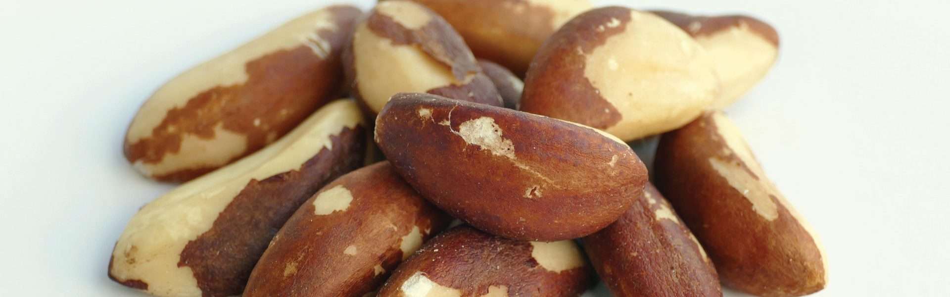 brazil nuts