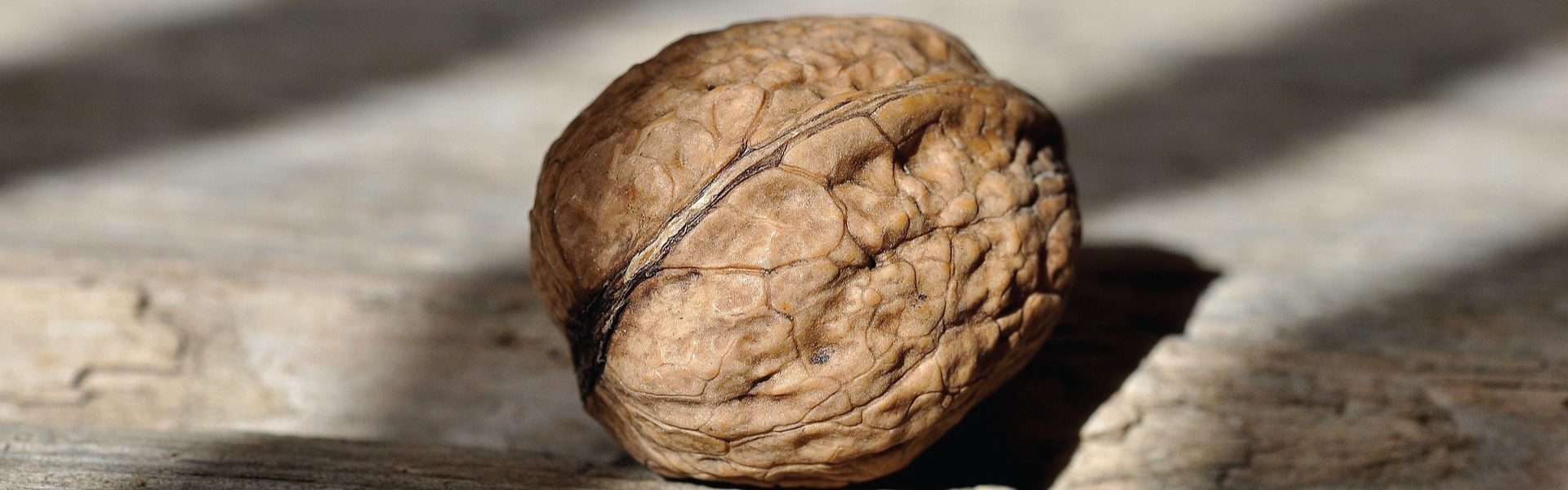 walnuts